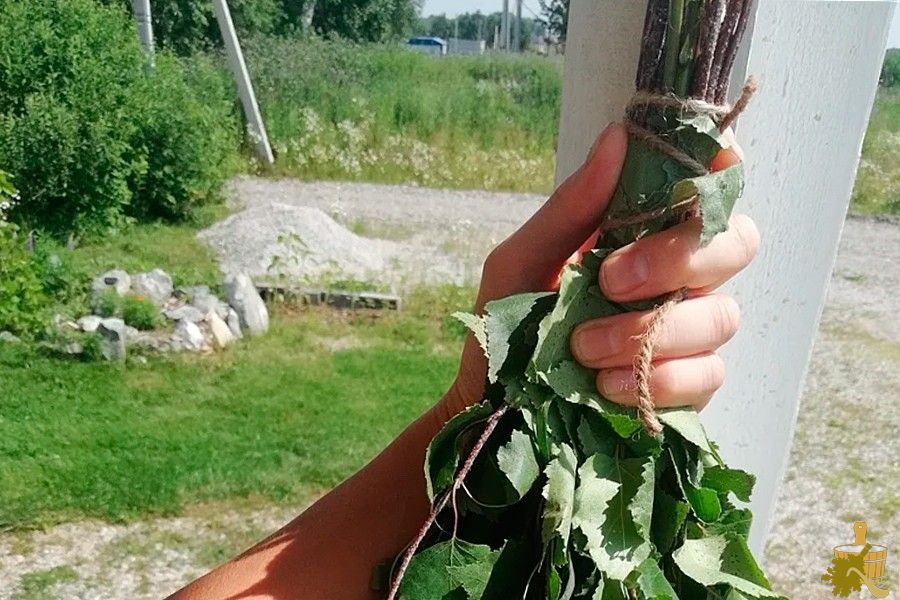 Березовый веник для бани: особенности заготовки, сушки и способы распаривания (березовый, веник, бани, особенности, заготовки, сушки) Березовый веник для бани: особенности заготовки, сушки и способы распаривания