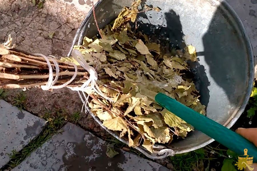 Березовый веник для бани: особенности заготовки, сушки и способы распаривания (березовый, веник, бани, особенности, заготовки, сушки) Березовый веник для бани: особенности заготовки, сушки и способы распаривания
