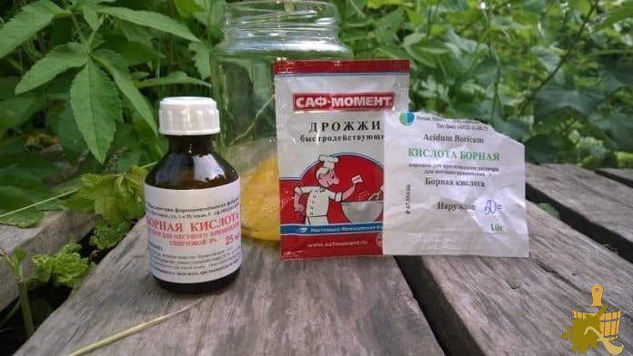 Как бороться с муравьями в бане и доме (бороться, муравей, баня) Как бороться с муравьями в бане и доме