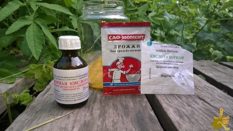 Как бороться с муравьями в бане и доме (бороться, муравей, баня) Уничтожаем муравьев в бане и доме