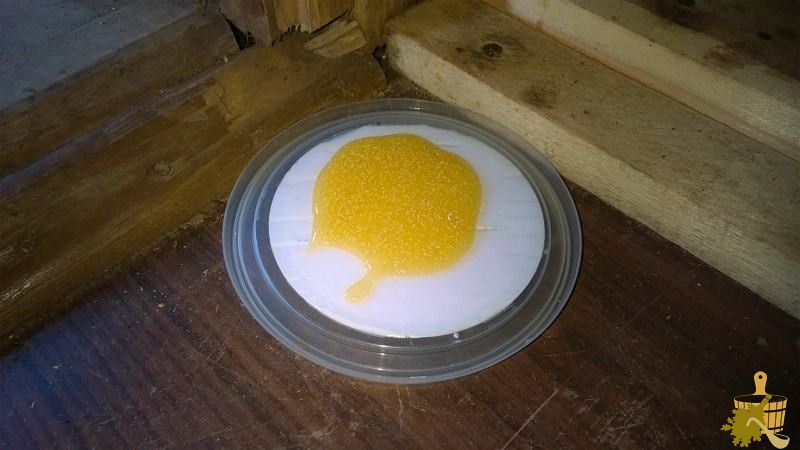 Как бороться с муравьями в бане и доме (бороться, муравей, баня) Яд для муравьев - готовим сами