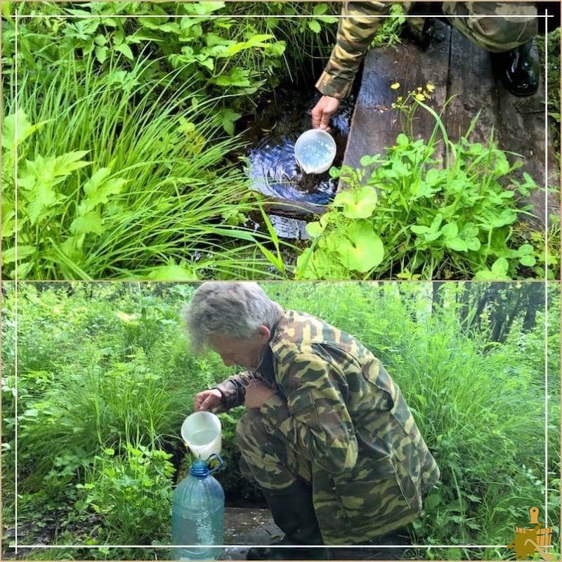 коллаж родник