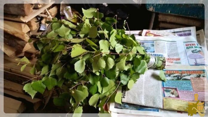 Деревенская баня в Кеннице Архангельской области, фото