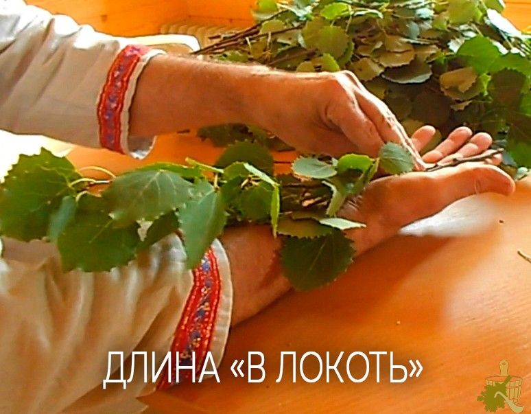 Осиновый веник для бани — не только от нечисти (осиновый, веник, бани, только) Осиновый веник для бани — не только от нечисти