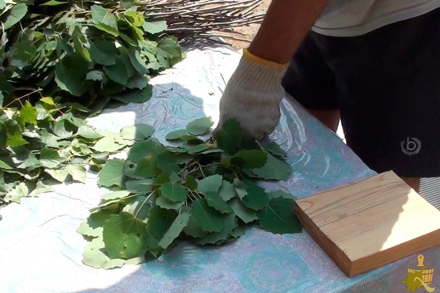 Осиновый веник для бани — не только от нечисти (осиновый, веник, бани, только) Осиновый веник для бани — не только от нечисти
