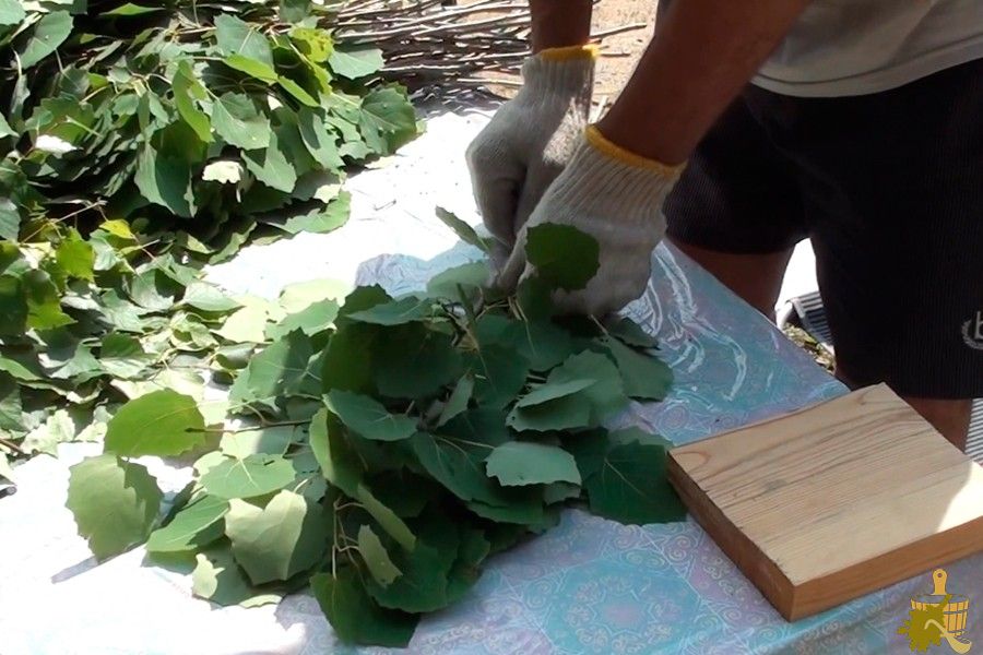 Осиновый веник для бани — не только от нечисти (осиновый, веник, бани, только) Осиновый веник для бани — не только от нечисти