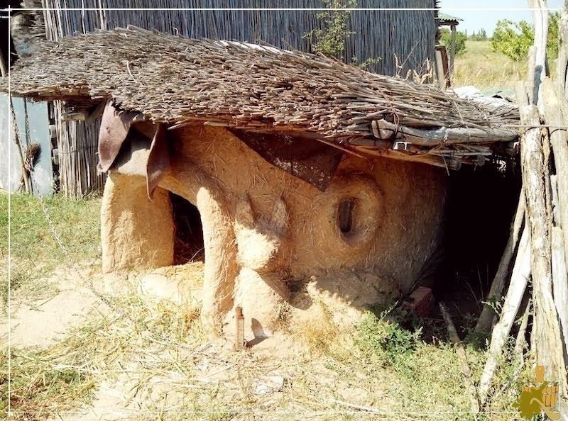 собачья будка из Самана