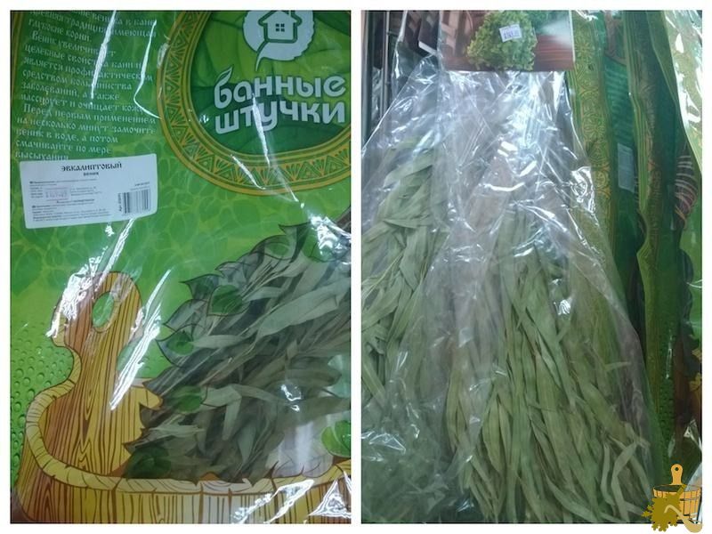 Полезные свойства эвкалипта