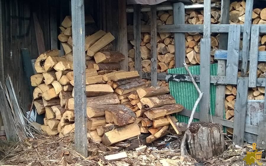Какие дрова для бани лучше