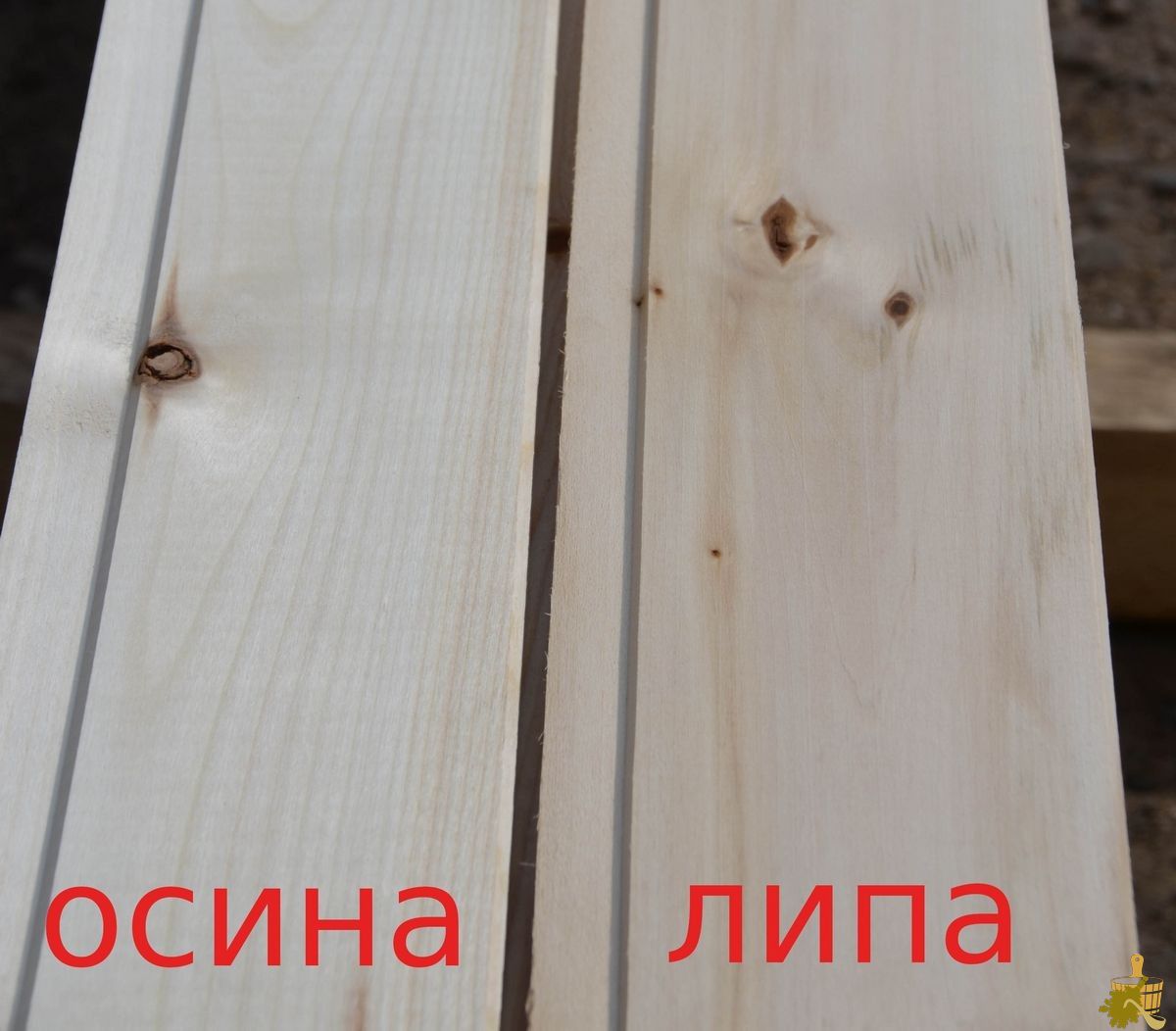 Отделка бани липой: особенности, плюсы и минусы (отделка, бани, липой, особенности, плюсы) Отделка бани липой: особенности, плюсы и минусы