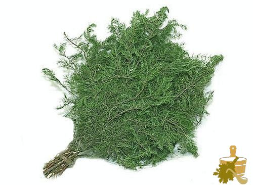 Веник из можжевельника