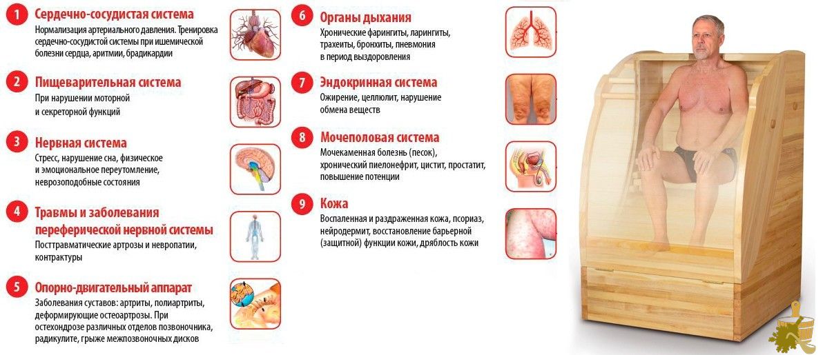 Кедровая бочка: в чем польза процедур и как правильно их принимать (кедровая, бочка, польза, процедур, принимать) Кедровая бочка: в чем польза процедур и как правильно их принимать