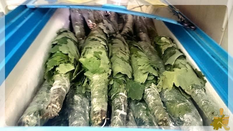 Знакомьтесь – замороженные веники для бани (знакомиться, заморозить, веник, баня) Знакомьтесь - замороженные веники для бани