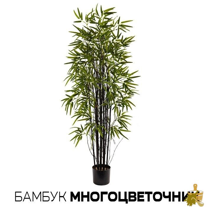 Бамбуковый веник для бани: совмещаем традиции