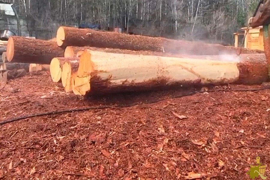 Баня из лиственницы: особенности материала, нюансы постройки, эксплуатация (баня, лиственницы, особенности, материала) Баня из лиственницы: особенности материала, нюансы постройки, эксплуатация