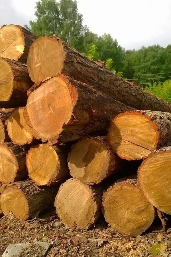 Баня из лиственницы: особенности материала, нюансы постройки, эксплуатация (баня, лиственницы, особенности, материала) Баня из лиственницы: особенности материала, нюансы постройки, эксплуатация