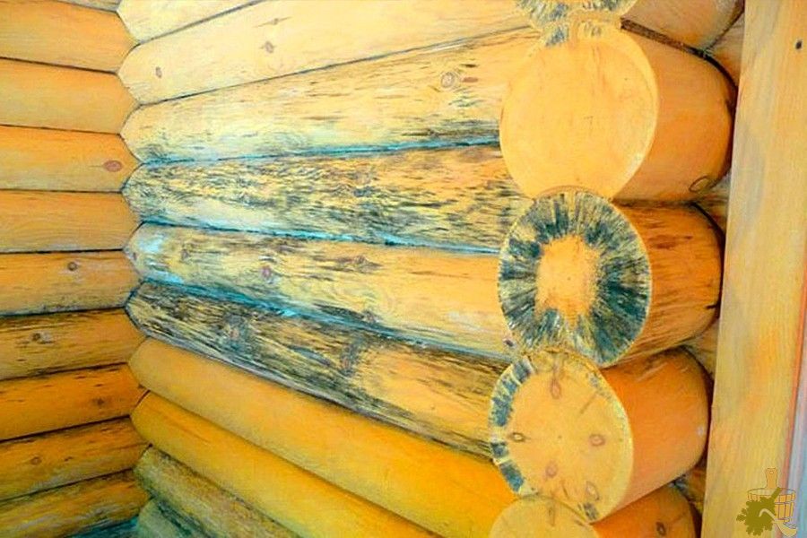 Бассейн в бане — чтобы пользы больше