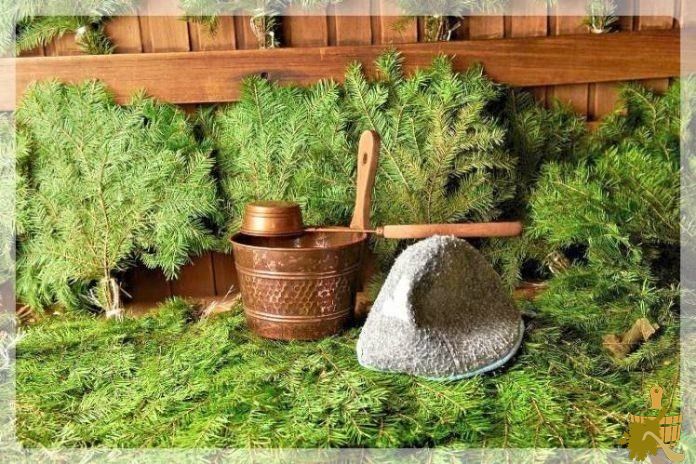 Еловый веник для бани (еловый, веник, баня) Еловый веник для бани