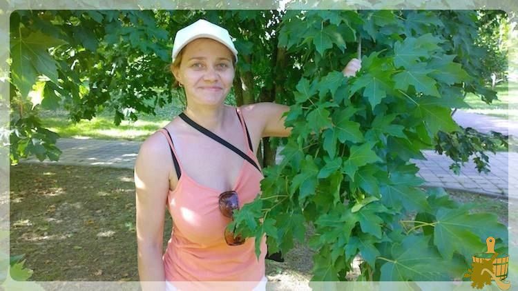 У дерева клён