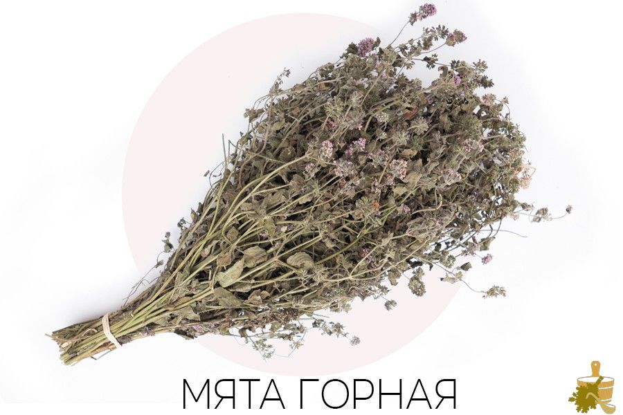 Травяные веники для бани: их состав и особенности, свойства, правила заготовки, запаривания и применения (травяные, веники, бани, состав) Травяные веники для бани: их состав и особенности, свойства, правила заготовки, запаривания и применения