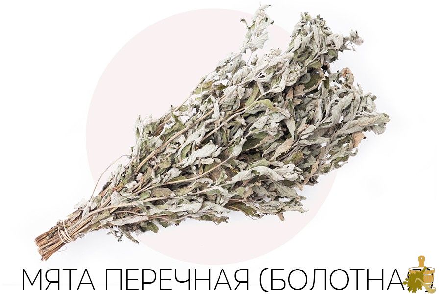 Травяные веники для бани: их состав и особенности, свойства, правила заготовки, запаривания и применения (травяные, веники, бани, состав) Травяные веники для бани: их состав и особенности, свойства, правила заготовки, запаривания и применения