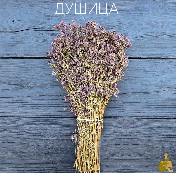 Травяные веники для бани: их состав и особенности, свойства, правила заготовки, запаривания и применения (травяные, веники, бани, состав) Травяные веники для бани: их состав и особенности, свойства, правила заготовки, запаривания и применения