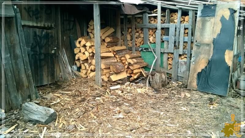 хвойные дрова на улице