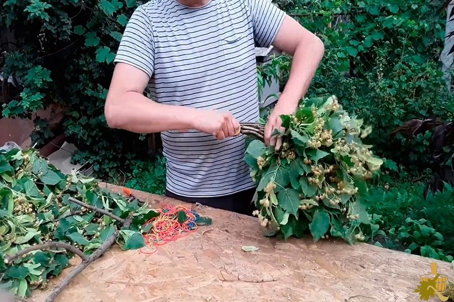 Когда заготавливать веники для бани: лучшие месяцы для разных видов веников (заготавливать, веники, бани, разных) Когда заготавливать веники для бани: лучшие месяцы для разных видов веников