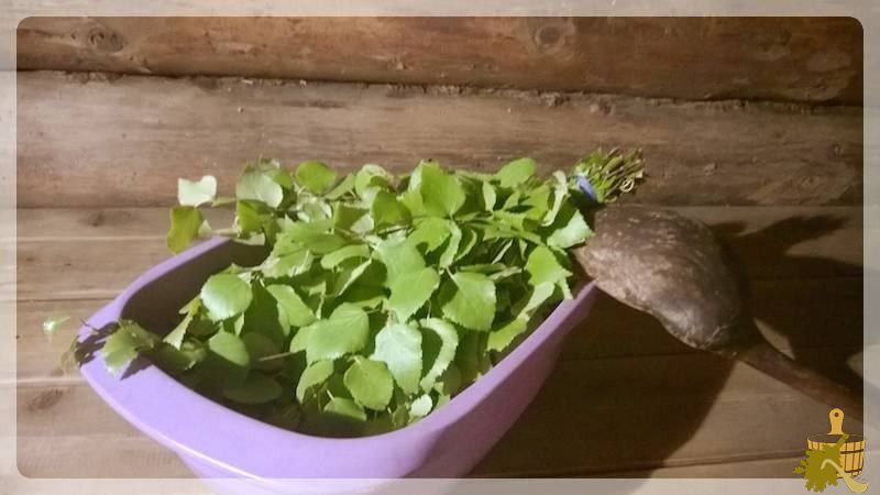 Берёзовый веник