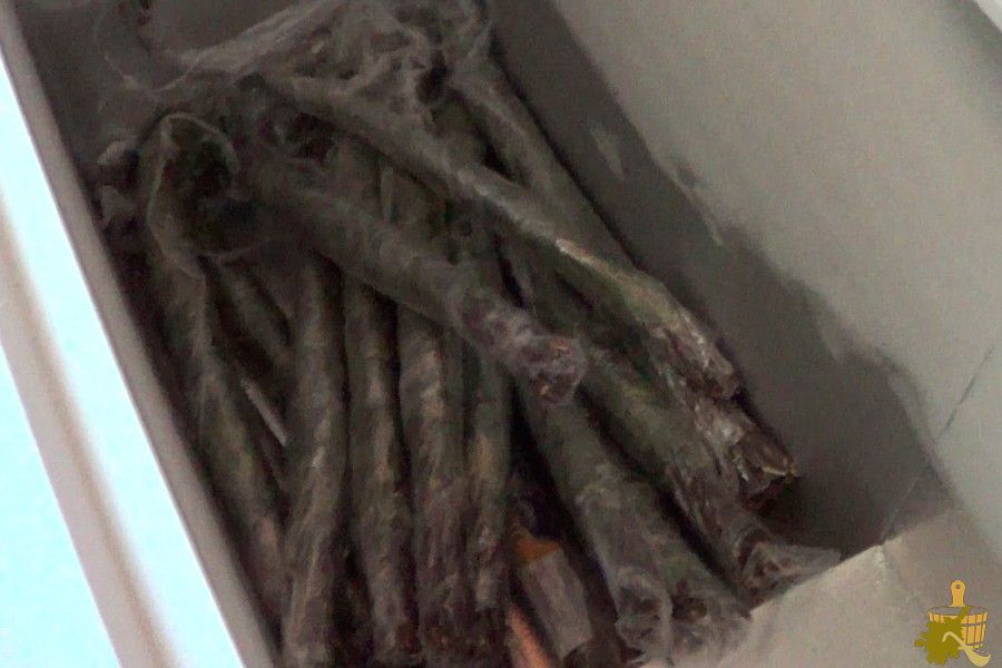 Замороженный веник для бани: польза, особенности и советы экспертов (замороженный, веник, бани, польза) Замороженный веник для бани: польза, особенности и советы экспертов
