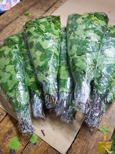 Замороженный веник для бани: польза, особенности и советы экспертов (замороженный, веник, бани, польза) Замороженный веник для бани: польза, особенности и советы экспертов
