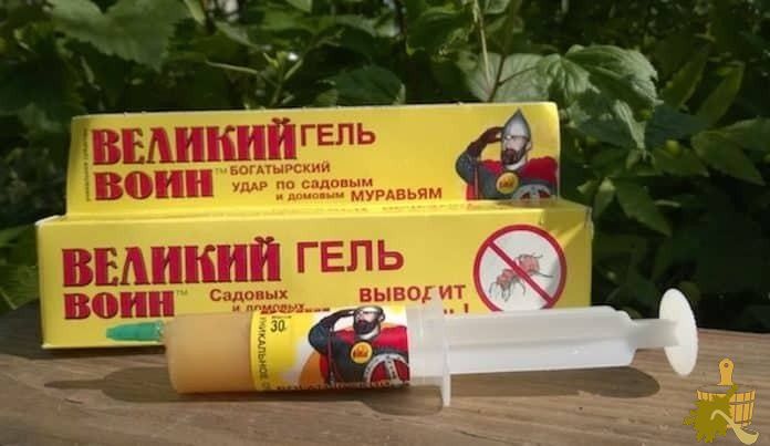 Как избавиться от муравьёв в бане – гель Великий воин