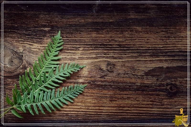 Какую древесину выбрать для строительства бани (какой, древесина, выбрать, строительство) doska