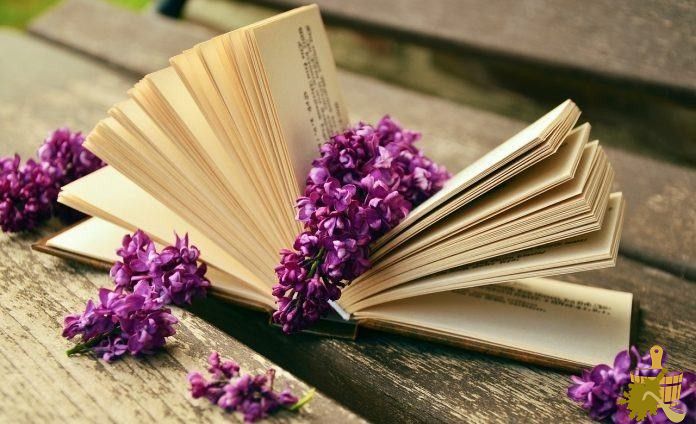 Самые лучшие книги о бане (самый, лучший, книга, баня) Самые лучшие книги о бане