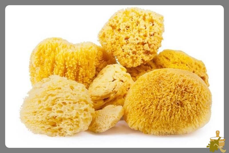 мочалки из натуральных губок