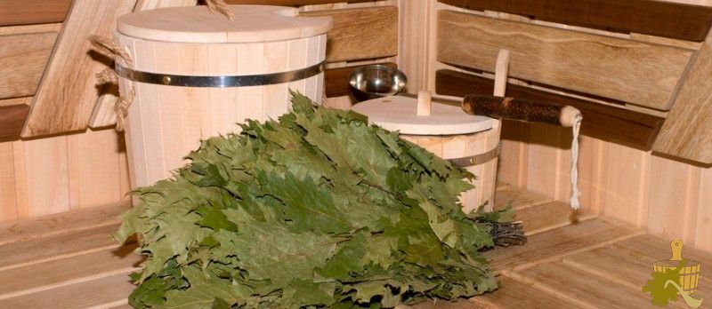 Кленовый веник для бани: нюансы заготовки и распаривания, польза и советы специалистов (кленовый, веник, бани, нюансы, заготовки) Кленовый веник для бани: нюансы заготовки и распаривания, польза и советы специалистов
