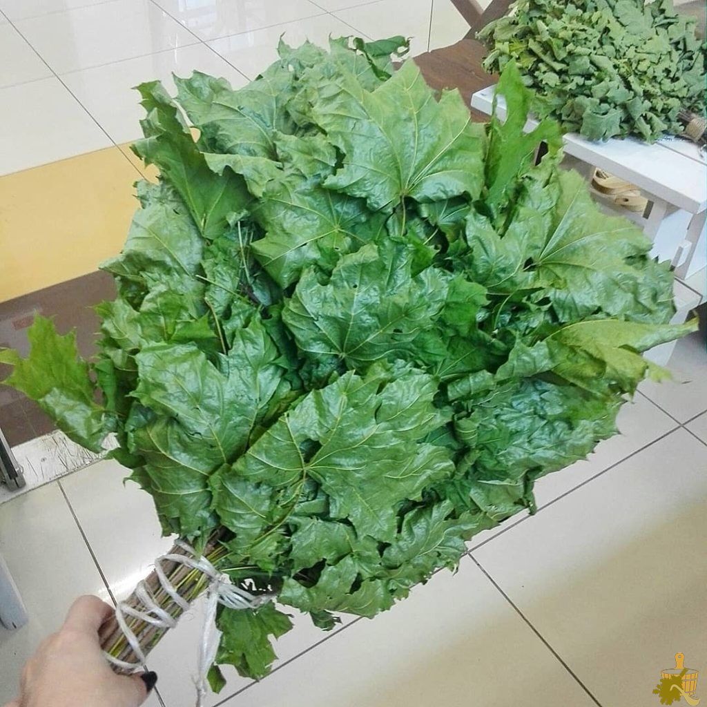 Кленовый веник для бани: нюансы заготовки и распаривания, польза и советы специалистов (кленовый, веник, бани, нюансы, заготовки) Кленовый веник для бани: нюансы заготовки и распаривания, польза и советы специалистов