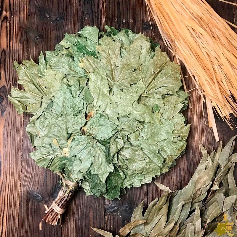 Кленовый веник для бани: нюансы заготовки и распаривания, польза и советы специалистов (кленовый, веник, бани, нюансы, заготовки) Кленовый веник для бани: нюансы заготовки и распаривания, польза и советы специалистов