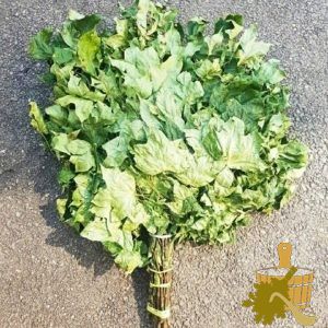 Кленовый веник для бани: нюансы заготовки и распаривания, польза и советы специалистов (кленовый, веник, бани, нюансы, заготовки) Кленовый веник для бани: нюансы заготовки и распаривания, польза и советы специалистов