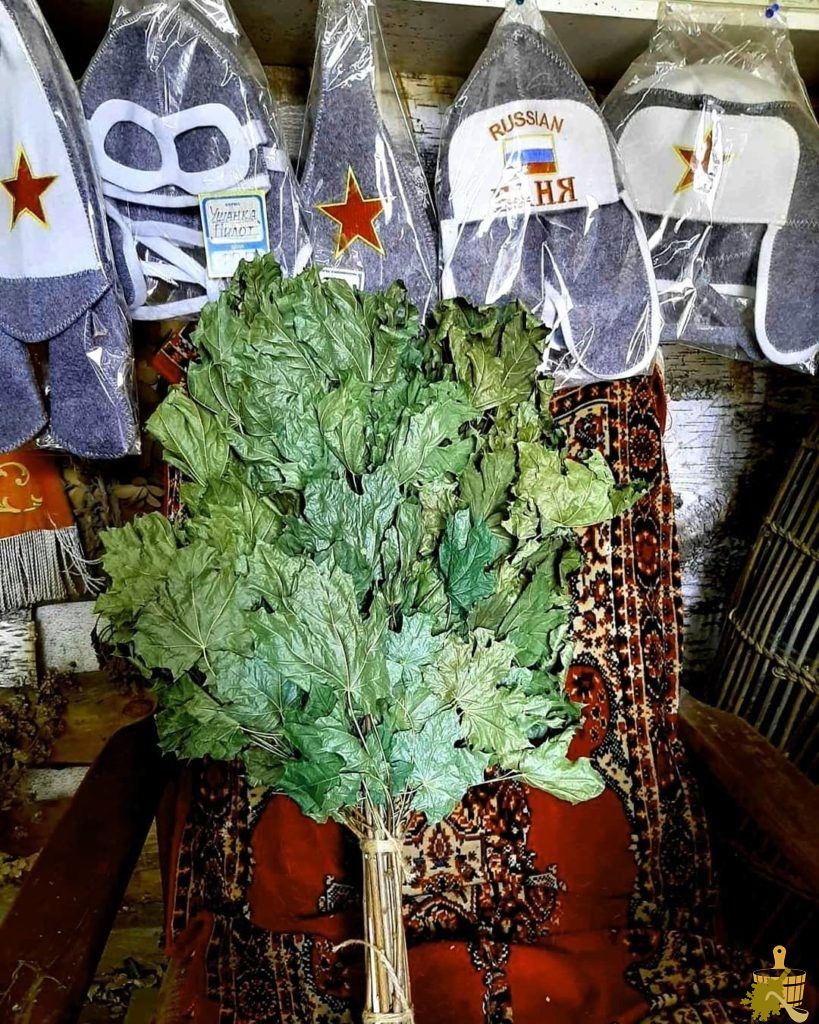 Кленовый веник для бани: нюансы заготовки и распаривания, польза и советы специалистов (кленовый, веник, бани, нюансы, заготовки) Кленовый веник для бани: нюансы заготовки и распаривания, польза и советы специалистов