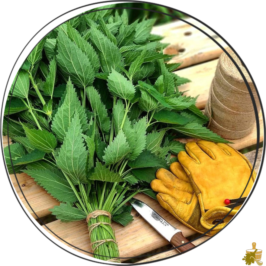 Крапивный веник для бани: не так страшно, как кажется