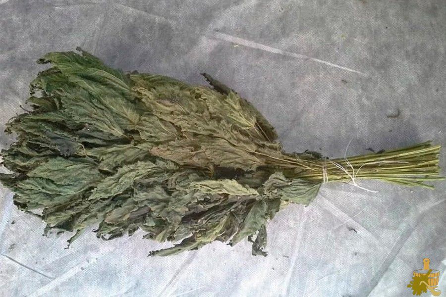 Крапивный веник для бани: не так страшно, как кажется