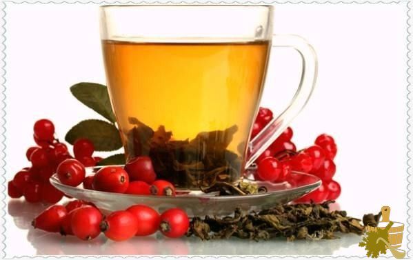 Калиновый веник для бани (калиновый, веник, баня) Настой ягод калины