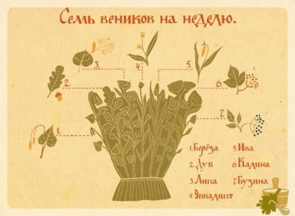 Калиновый веник для бани (калиновый, веник, баня) Веники на неделю