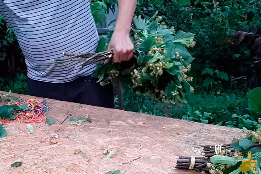 Липовый веник для бани: все от заготовки до правильного использования (липовый, веник, бани, заготовки, использования) Липовый веник для бани: все от заготовки до правильного использования