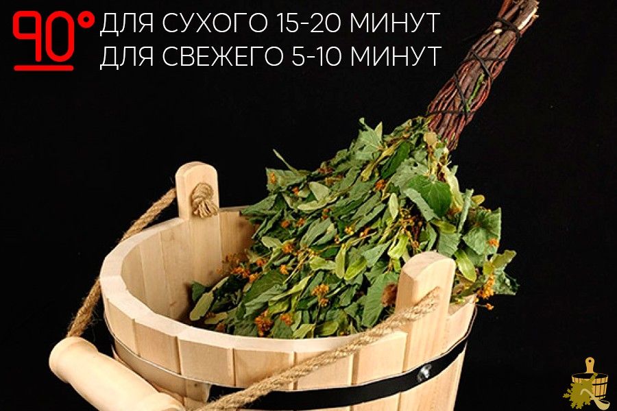 Липовый веник для бани: все от заготовки до правильного использования (липовый, веник, бани, заготовки, использования) Липовый веник для бани: все от заготовки до правильного использования