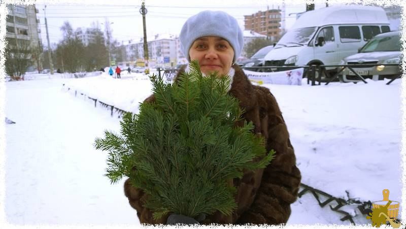 пихтовый веник на рынке