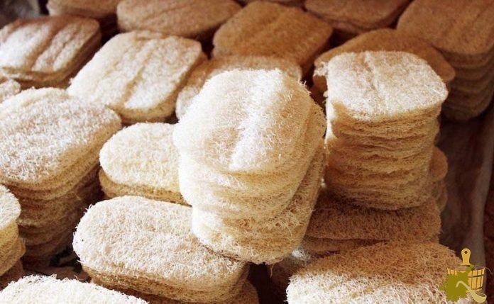 Всё о натуральной мочалке из люфы