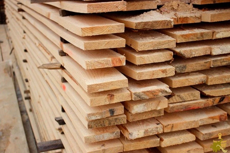 Муравьи в бане: способы борьбы и меры профилактики