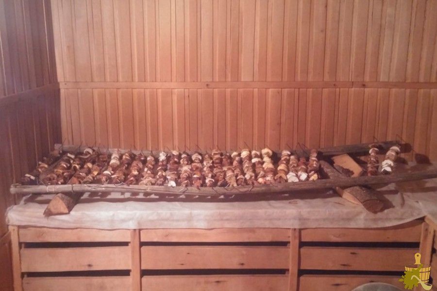 Муравьи в бане: способы борьбы и меры профилактики